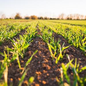 UNIVERSITY TECHNOLOGY AIMS TO BOOST AGRICULTURAL SECTOR